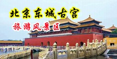 那个男人舔女人的黄色网站中国北京-东城古宫旅游风景区